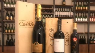 Explore Sustainable Wines on a Piedmont Winery Tour