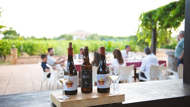 Mijas Organic Vineyard Tasting: 5 Wines, 2 Oils & Local Food