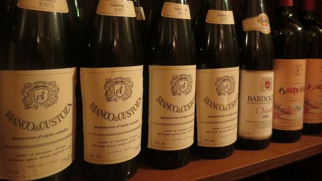 Veneto Vineyard Tour & Tasting at Aldo Adami