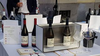 Cata de vinos y visita guiada en Principi Di Mola
