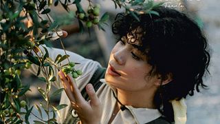 Walk Among Sicilian Olive Groves & Taste Local Oil