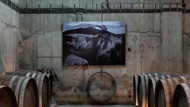 Degustação de vinhos Riza na comunidade agrícola de Paros 