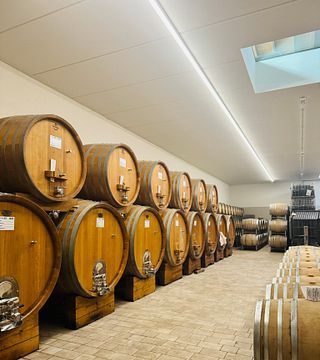 VISITE DES VIGNOBLES ET DES CAVES AVEC ACCORD METS ET VINS