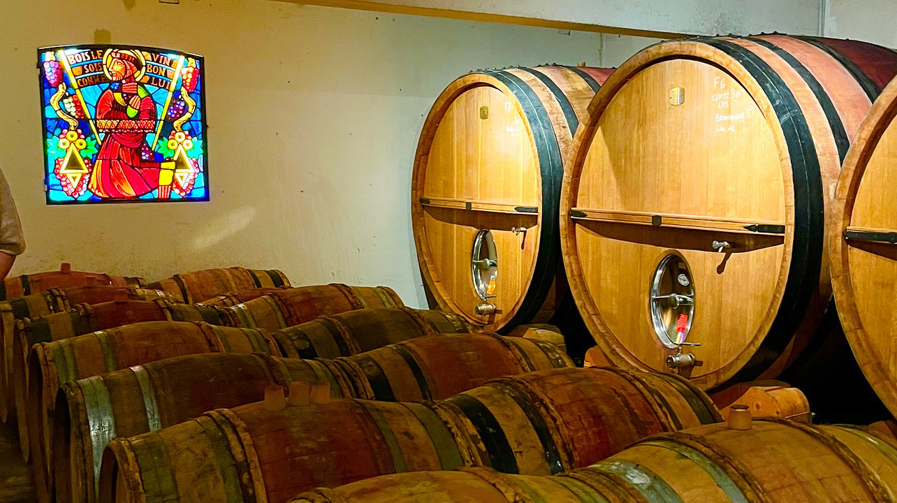 Tarde de cata de vinos en 3 bodegas, incluida 1 en Châteauneuf du Pape