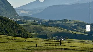 Trentino-Alto Adige Wine & Vineyard Discovery at Lageder