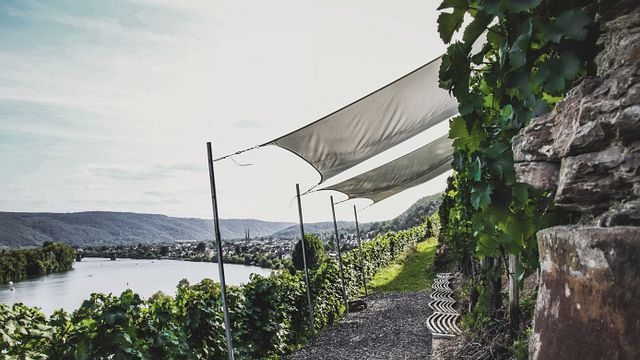 Weingut Schwaab
