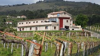 Cata de vinos y visita guiada en Pazo Pondal