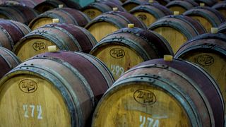 Introducción a la elaboración del vino en Vinprom Rousse Jsc