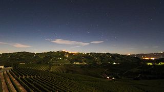 Matteo Soria Winery