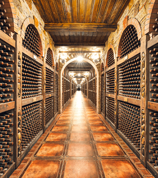 Visit of Tourist Complex “Chateau Cojusna”  with Tasting