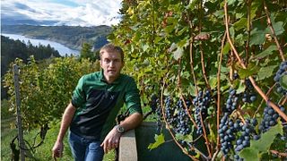 Degustazione e visita alla Cantina El Zeremia