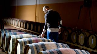 Tenuta Masciangelo