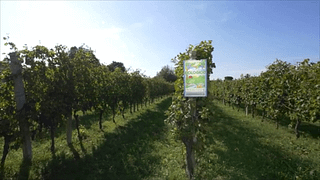 Le Tende Farm