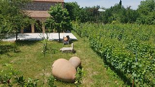 Degustazione di vini e tour a Levanis Marani Akhmeta