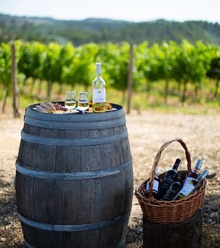 Dégustation de vins de terroir à Quinta Vale do Armo