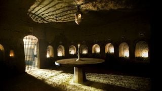 Weinprobe und private Tour La Rotonde im Domaine Bredif