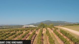 Mount Eyre Vineyards