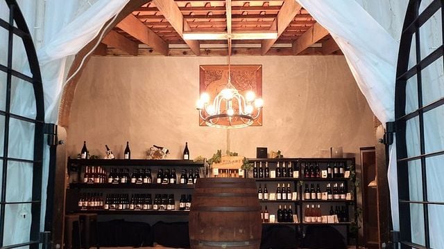 Auckland’s Northland Wine Adventure at Karikari