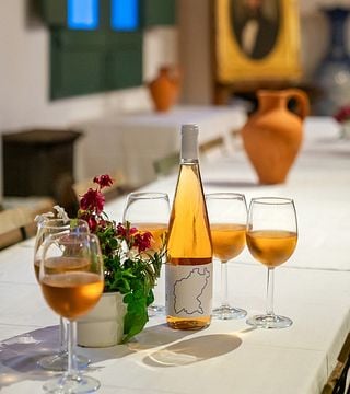 Wine Dinner with Wine Tasting & Vineyard Tour