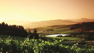 Degustação de vinhos e tour na Vondeling Wines