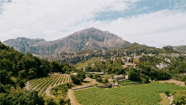 Balearic Wine & Views: Vinyes Mortitx Tasting Tour