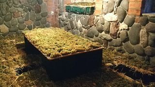 Cata de vinos y cena en la bodega Kapito