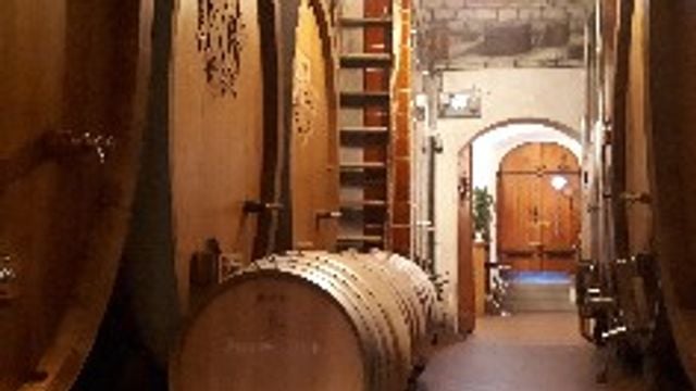 Wine tasting and cellar tour