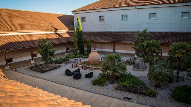 Degustazione di vini e tour all'Hacienda Albae