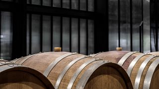 Tour e degustação de vinhos no Domaine Haute Perche