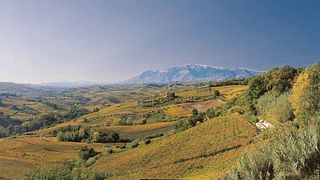 Agriverde Winery