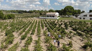 Cata de vinos en Bodega Finca Cor Vi