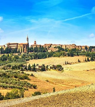 Visite originale des vins du Val d'Orcia au départ de Florence