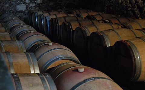 Degustazione di vini e sistemazione in lodge insolito allo Château Adelaide