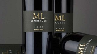 Klassische Weinverkostung im Weingut Lutz