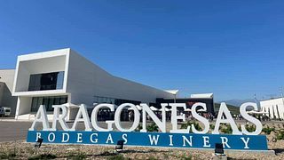 Tour e degustação de vinhos em Bodegas Aragonesas