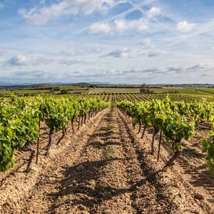 Pausa vino nelle suite e negli appartamenti dello Château Les Carrasses