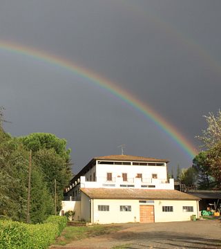 Visite de cave et dégustation de vins accompagnée d'un déjeuner toscan complet | Castello Monterinaldi