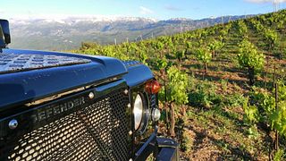 Visita privada y exclusiva a la bodega y viñedos de Manousakis