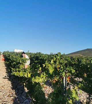 Maridaje de tres platos con vino y comida en Kastel Sikuli