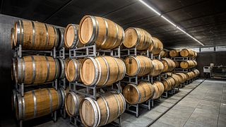 Dégustation et visite de vins à Cascina Bongiovanni