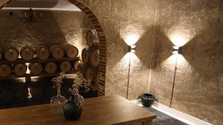 Dégustation de vins haut de gamme à Sovibor - Sociedade De Vinhos De Borba