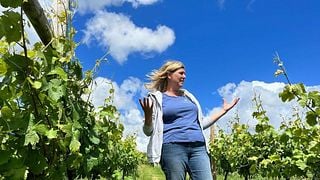 Huxbear Vineyard