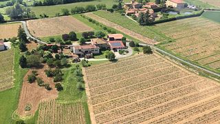 Wine tasting and tour at Domaine de la Couvette