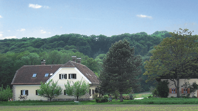 Weingut Pock