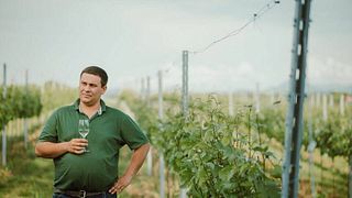Weinbau Rogl Winery