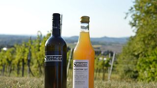Winery DI Johanes Stuttner