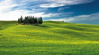 Visite originale des vins du Val d'Orcia au départ de Florence