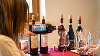 Cata de vinos y visita a la bodega Le Bignele