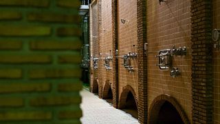 Scopri La Jaraba: degustazione di vini, oleoturismo ed esperienza di latteoturismo