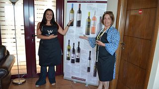 Degustazione di vini e tour presso l'azienda vinicola Vriniotis